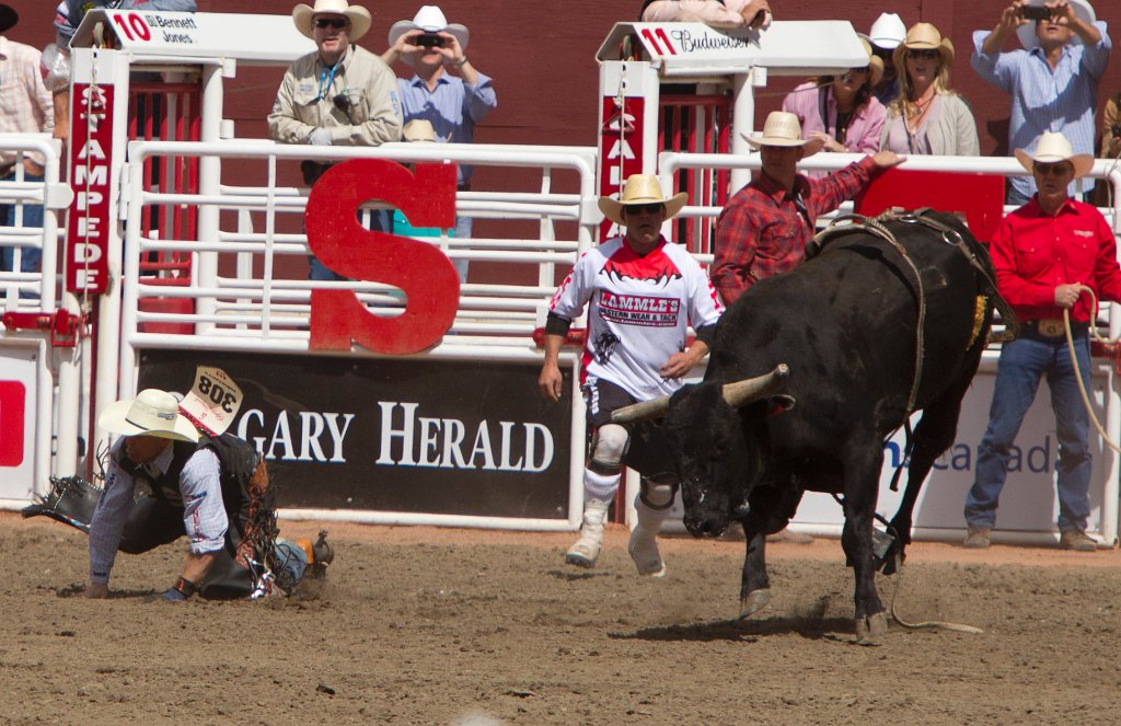 Calgary Stampede-2073.jpg